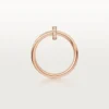 B4210800-Bague-Juste-Un-Clou
