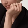 Bague Panthère de Cartier – Or rose, grenats tsavorites, onyx, laque noire, diamants – Cartier