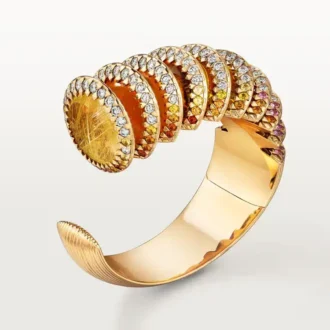 Bracelet Polymorph