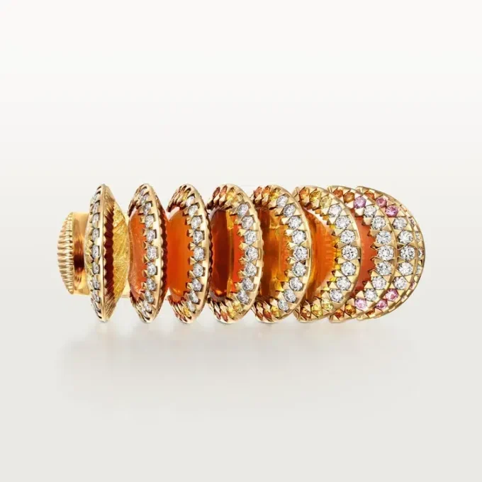 Bracelet Polymorph