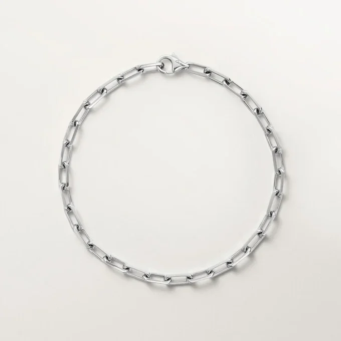Bracelet Santos de Cartier, chaîne, petit modèle
