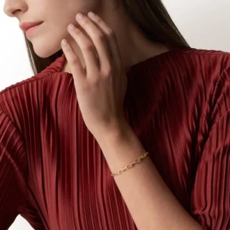 Bracelet Santos de Cartier, chaîne, petit modèle