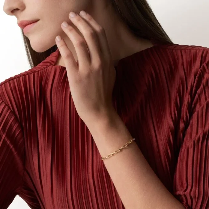 Bracelet Santos de Cartier, chaîne, petit modèle