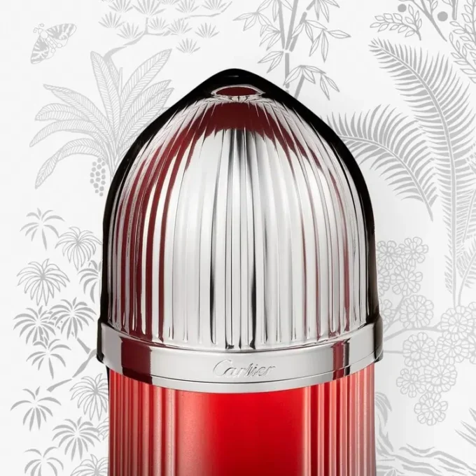 Coffret cadeau Pasha de Cartier Édition Sport Coffret cadeau Pasha de Cartier Édition Sport