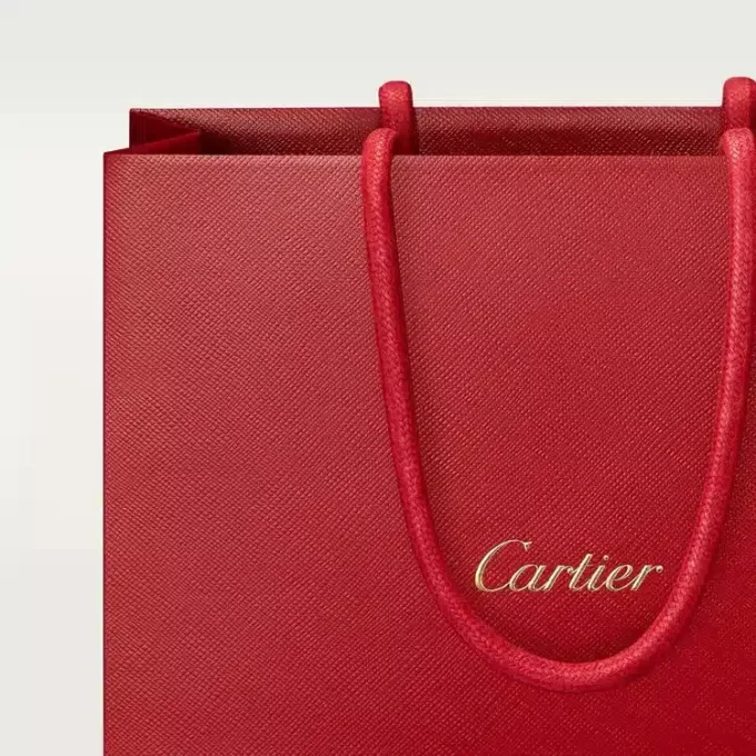 Pasha De Cartier Noir Absolu
