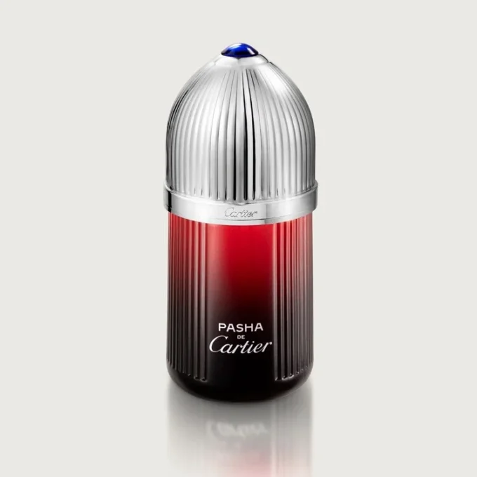 Pasha De Cartier Édition Noire Sport