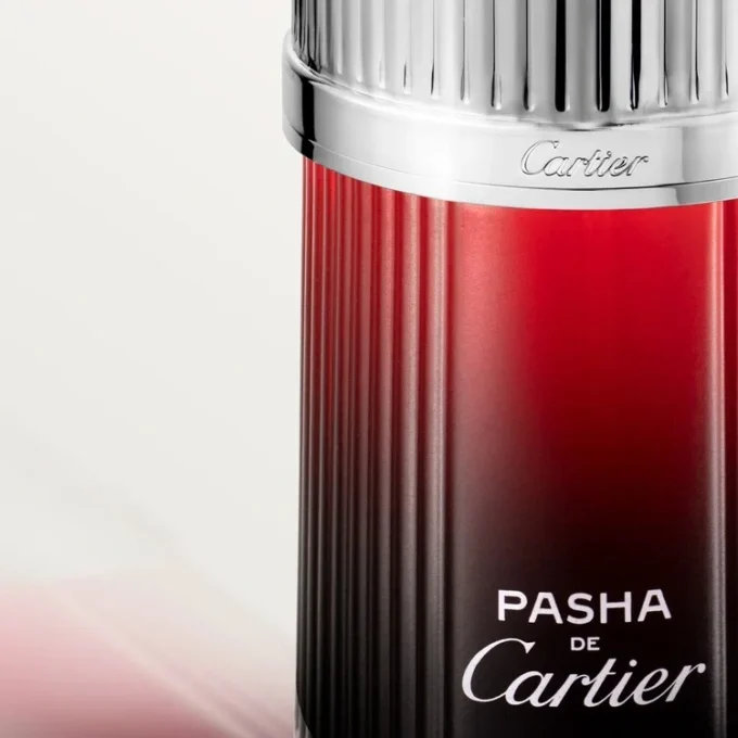 Pasha De Cartier Édition Noire Sport