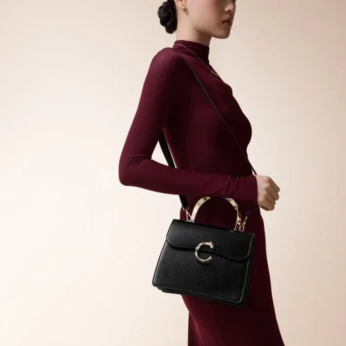 Petit sac, Panthere C