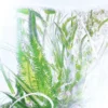 Recharge de parfum Géranium – Rivières de Cartier | Cartier