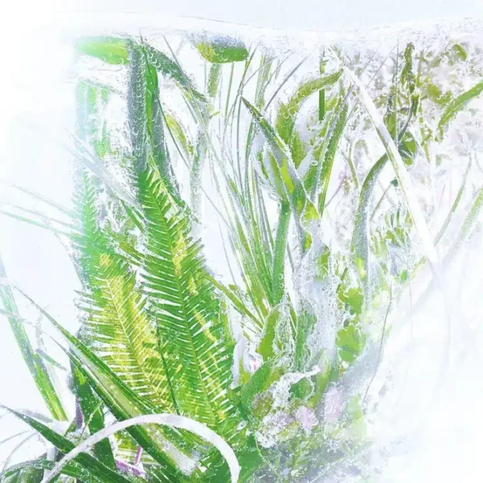 Recharge de parfum Géranium – Rivières de Cartier | Cartier