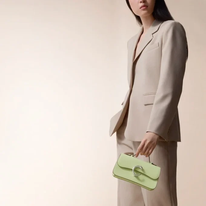 Sac Nano, Panthere C